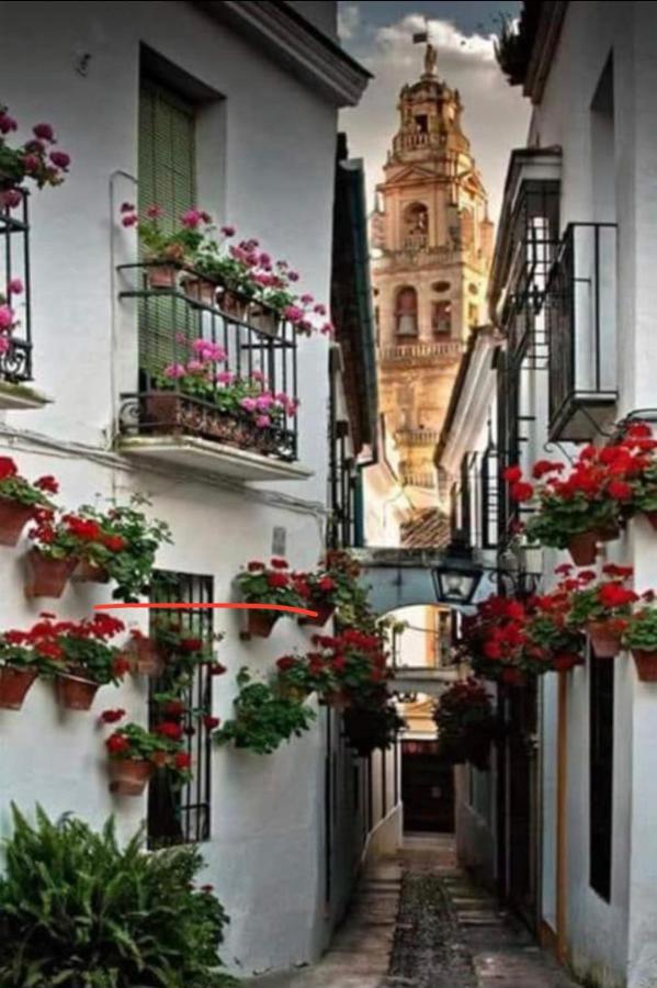 Casa Isa Apartment Cordoba Luaran gambar